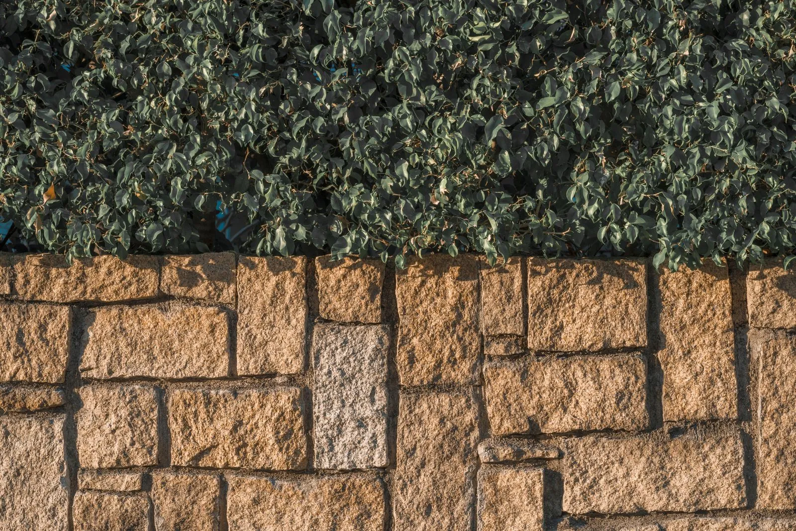 How to Choose a Retaining Wall Material